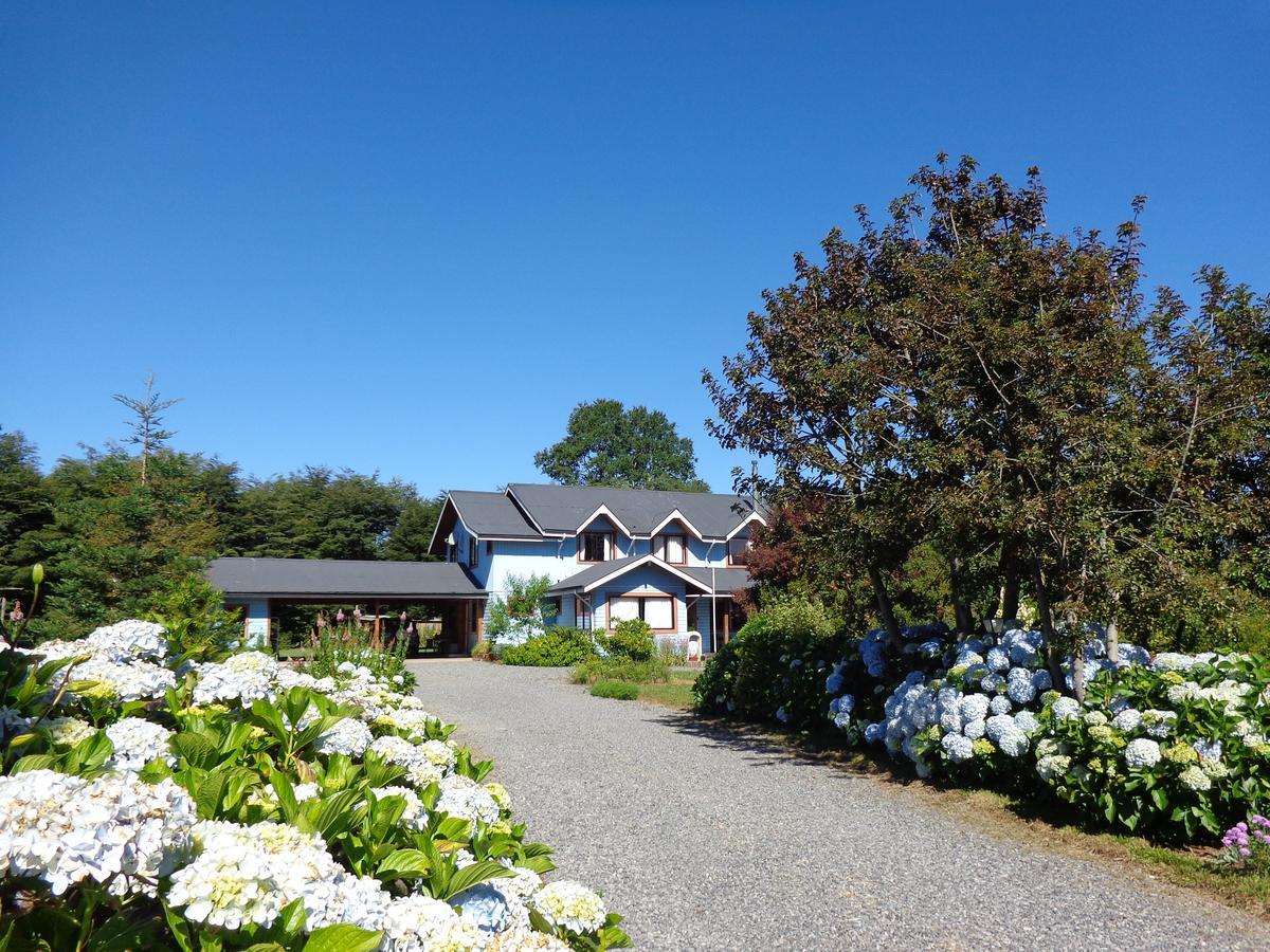 Hostal Tia Lety Вильяррика Экстерьер фото